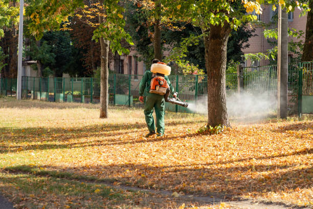 Best Local Pest Control Services  in Kulpmont, PA